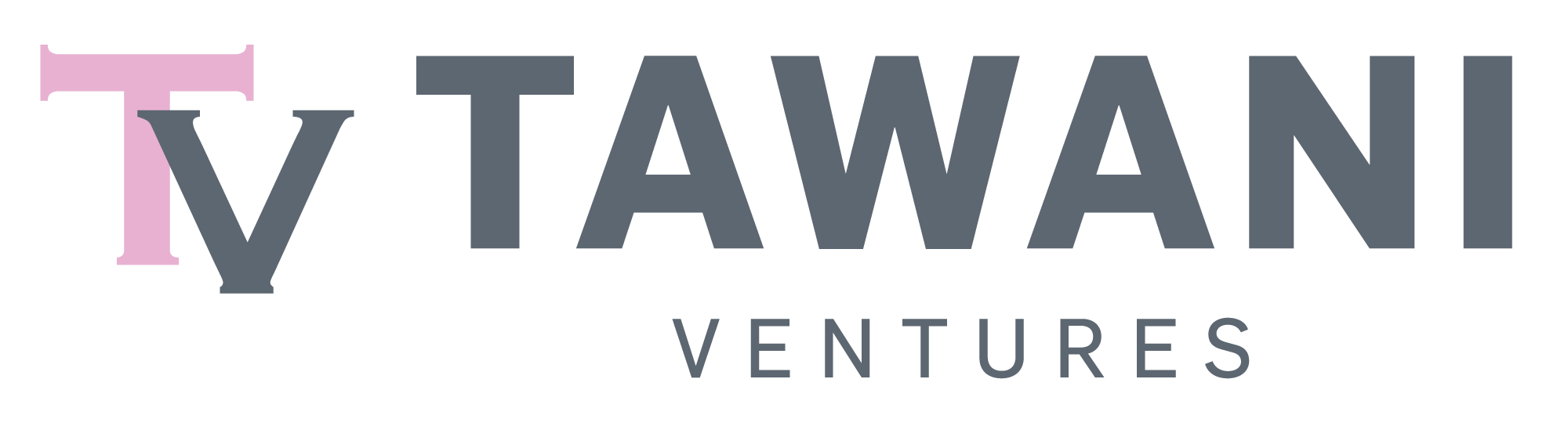 Tawani_Ventures_web logo